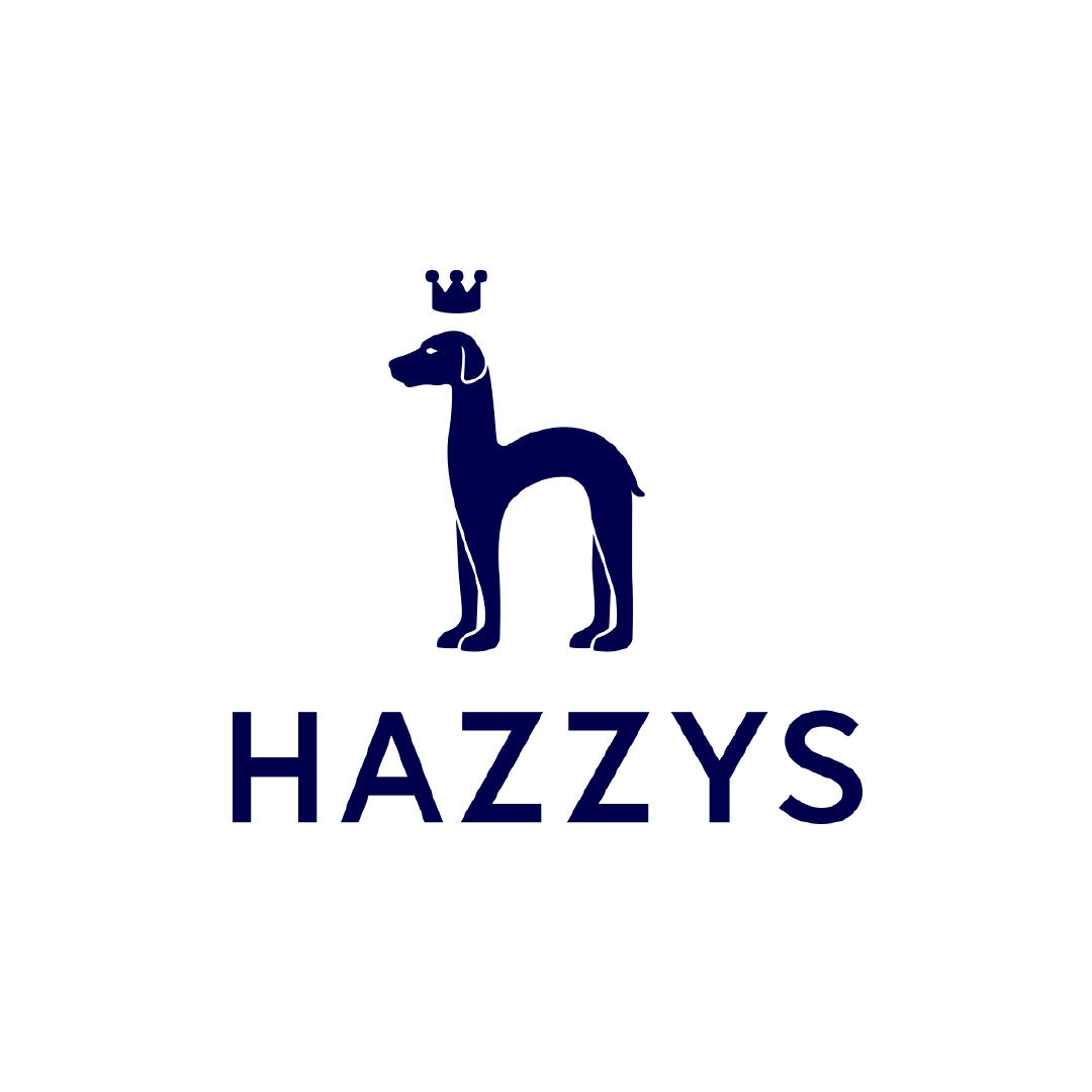 哈吉斯HAZZYS