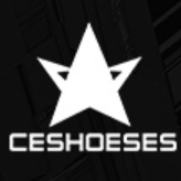 迪星CESHOESES