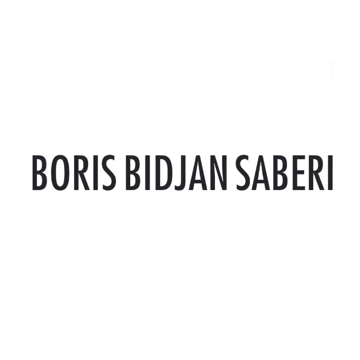 BORIS BIDJAN SABERI