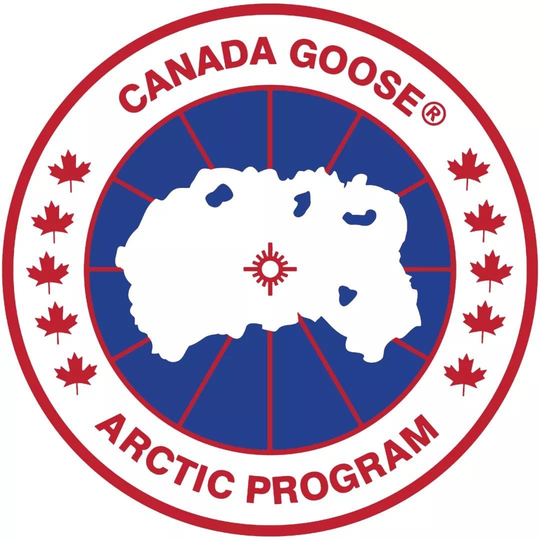 加拿大鹅Canada Goose