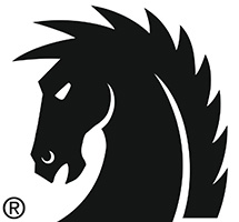 DARK HORSE